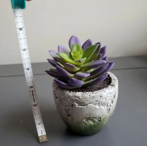 Fake succulent